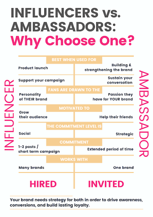A infographic with a white background comparing influencers and ambassadors